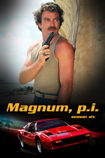 The poster for Season 6