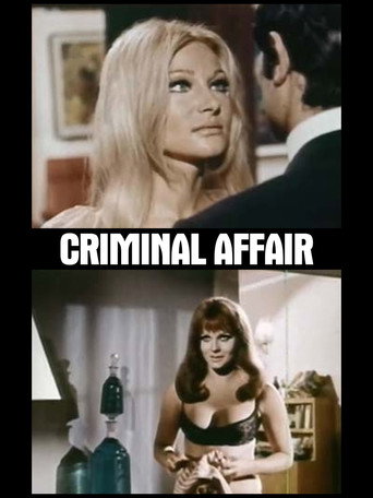 Poster for Criminal Affair