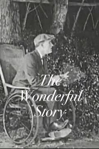 Poster for The Wonderful Story