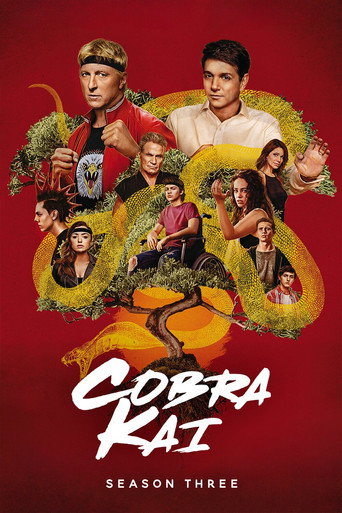 The poster for Season 3