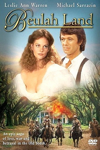 The poster for Miniseries
