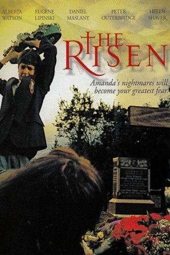 Poster for The Risen