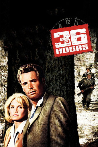 Poster for 36 Hours