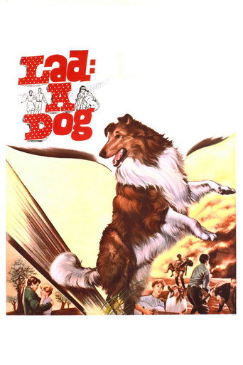 Poster for Lad: A Dog