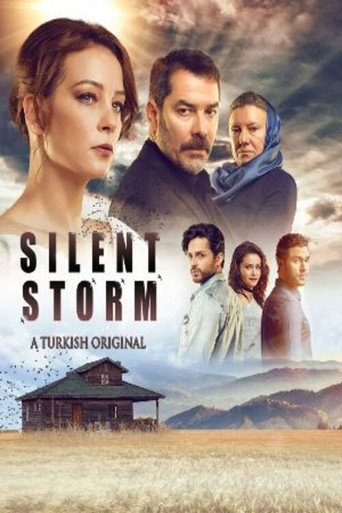 Poster for Swallow Storm