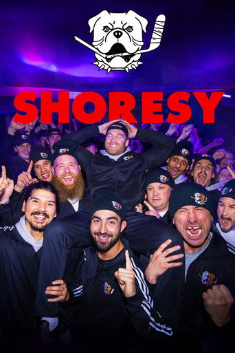 The poster for Season 3