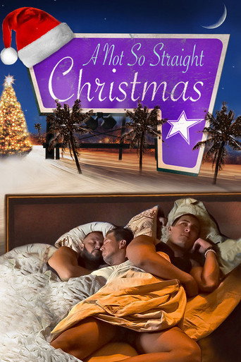Poster for A Not So Straight Christmas