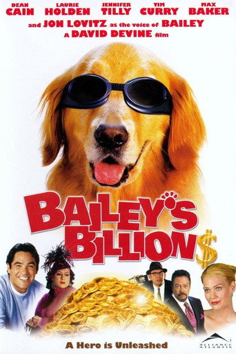 Poster for Bailey's Billion$