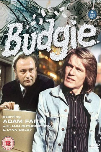 Poster for Budgie