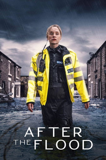 Poster for After the Flood