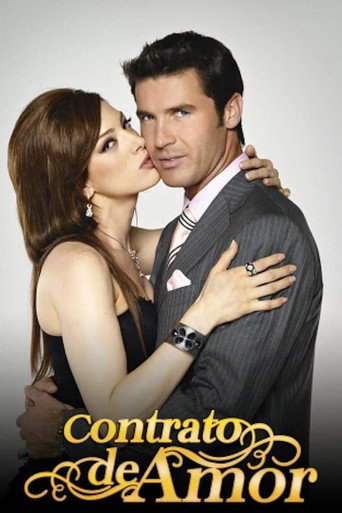 The poster for Season 1
