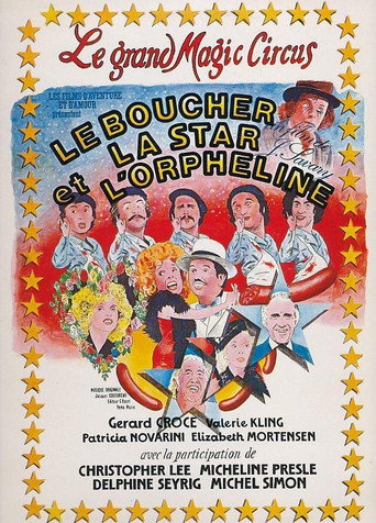 Poster for The Butcher, the Star and the Orphan