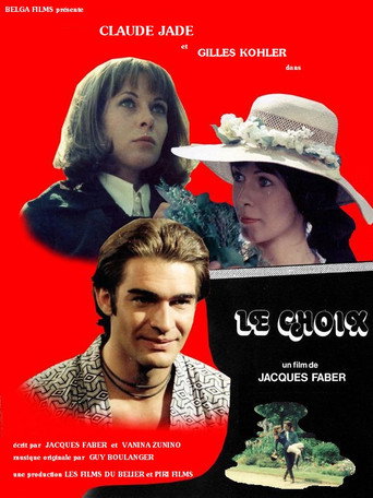 Poster for The Choice