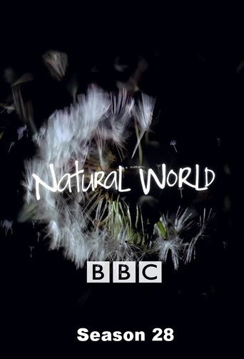 The poster for Season 28