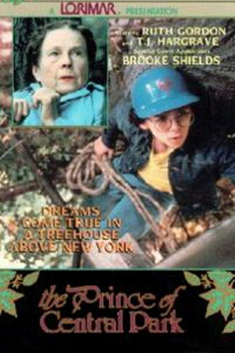 Poster for The Prince of Central Park