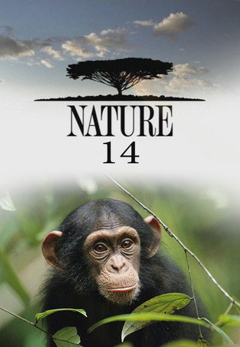 The poster for Season 14