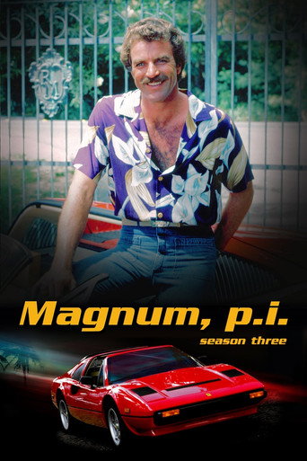 The poster for Season 3