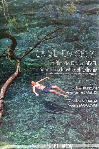 Poster for La vie en gros