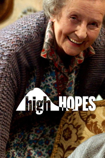 Poster for High Hopes