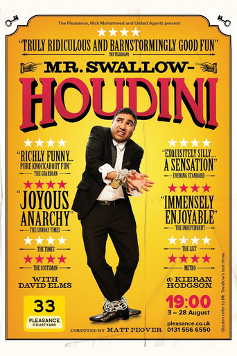 Poster for Mr Swallow: Houdini