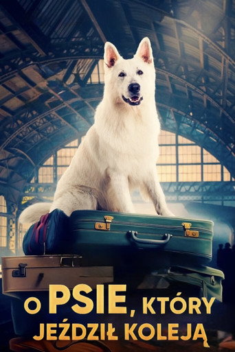 Poster for Lampo, the Travelling Dog