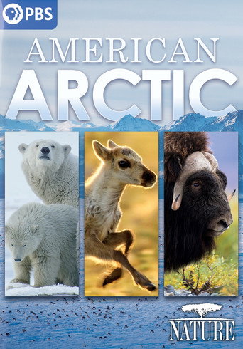 Poster for American Arctic