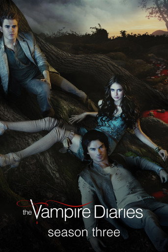 The poster for Season 3