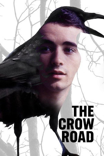 Poster for The Crow Road