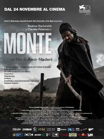 Poster for Mountain