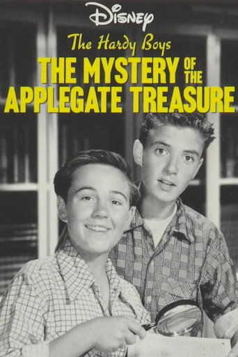 Poster for The Hardy Boys: The Mystery of the Applegate Treasure