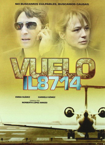 Poster for Flight 8714: Take Off to Disaster
