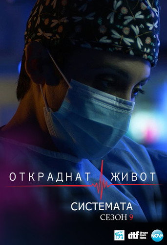 The poster for The System