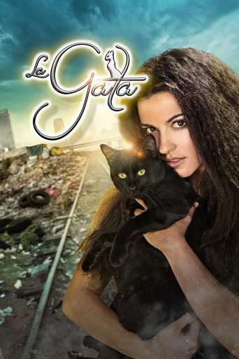 Poster for The Stray Cat