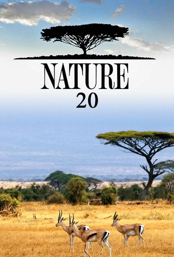 The poster for Season 20