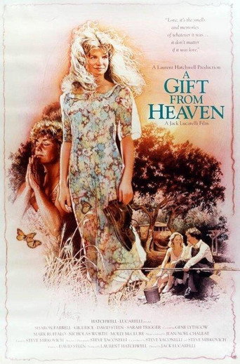Poster for A Gift from Heaven