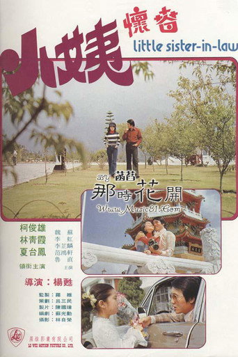 Poster for Little Sister-in-law