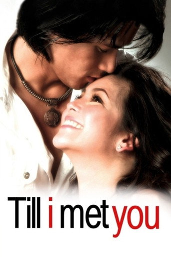 Poster for Till I Met You