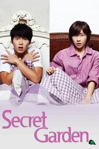 The poster for Limited Series