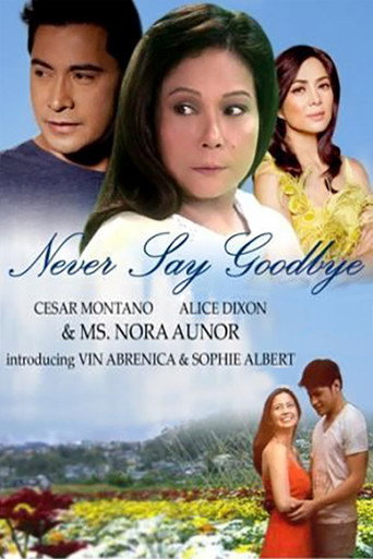 Poster for Never Say Goodbye