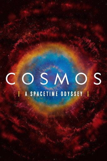 The poster for A Spacetime Odyssey