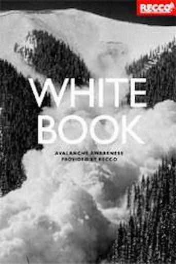 Poster for Whitebook