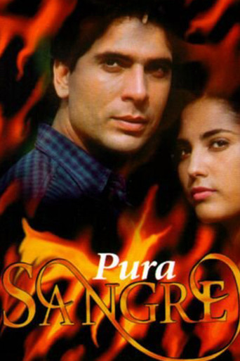 Poster for Pura Sangre