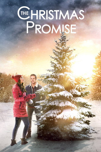 Poster for The Christmas Promise