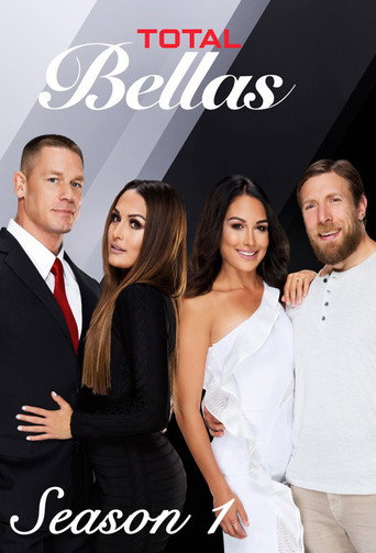 The poster for Season 1