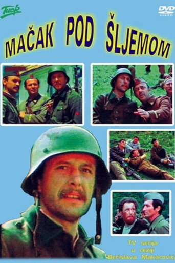 Poster for Cat Under a Helmet