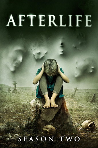 The poster for Series 2