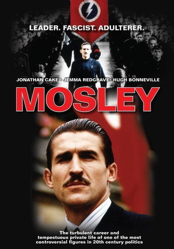 The poster for Miniseries