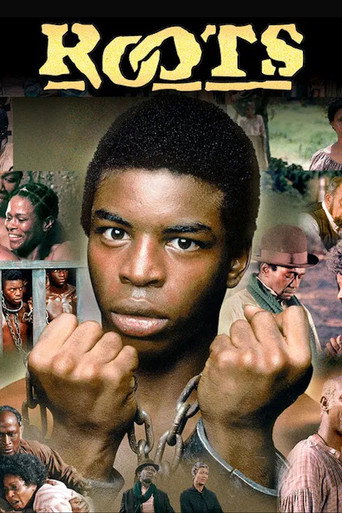 The poster for Miniseries
