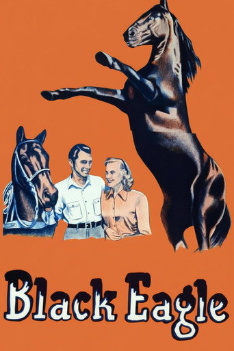 Poster for Black Eagle