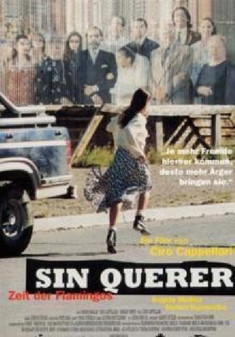 Poster for Sin querer